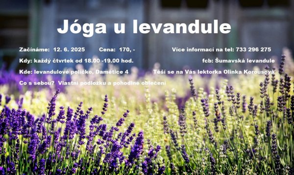 Jóga u levandule